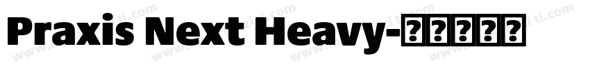 Praxis Next Heavy字体转换